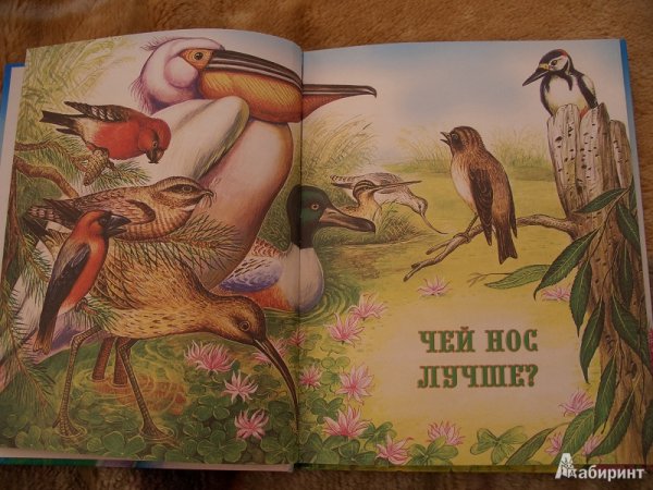 Иллюстрации к книгам Бианки