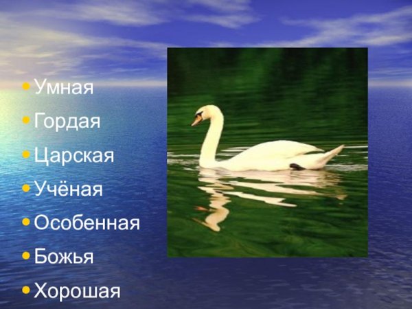 Лебедь мамин Сибиряк