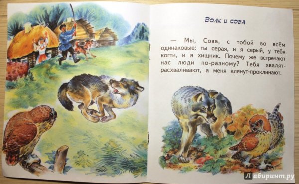 Волк и Сова Сладков