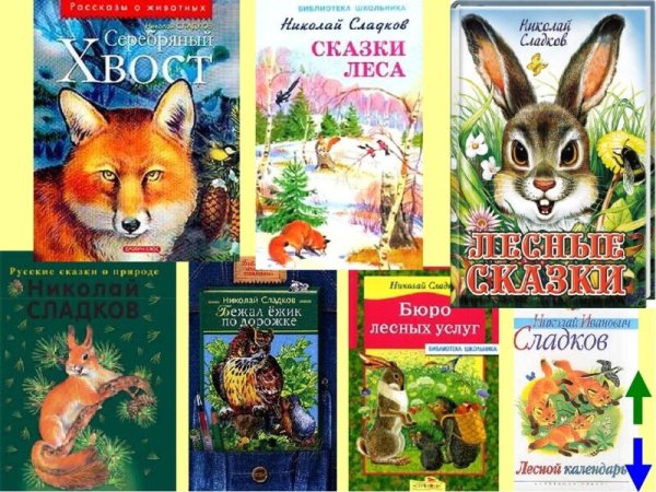 Книжки Николай Иванович Сладков Лесные сказки