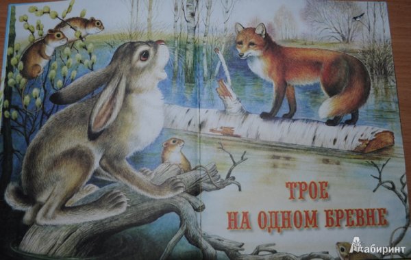 Иллюстрации к книгам Сладкова