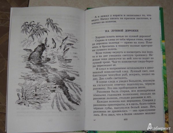 Николай Сладков Лесные тайнички распечатать