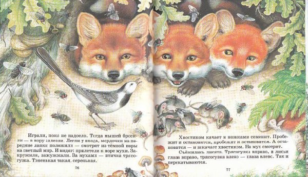 Сказки Лесной опушки книга