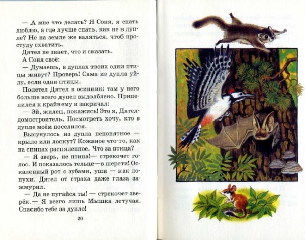 Николай Сладков дятел