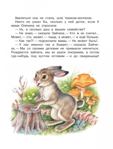 Лесные приключения Эдуард ШИМ