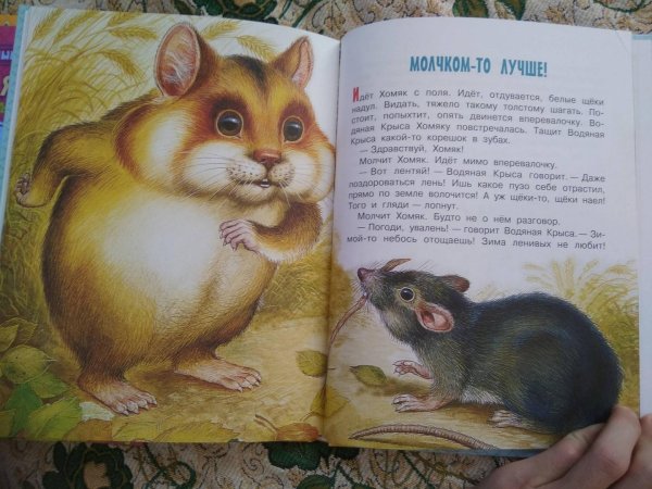 Лесные сказки Эдуард ШИМ