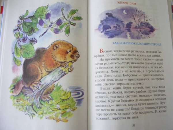 Сказки из леса книга