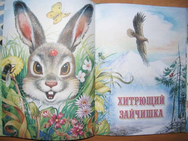 Эдуард ШИМ "Лесные истории"