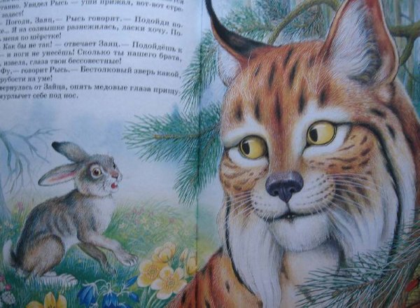 Сказки о родной природе