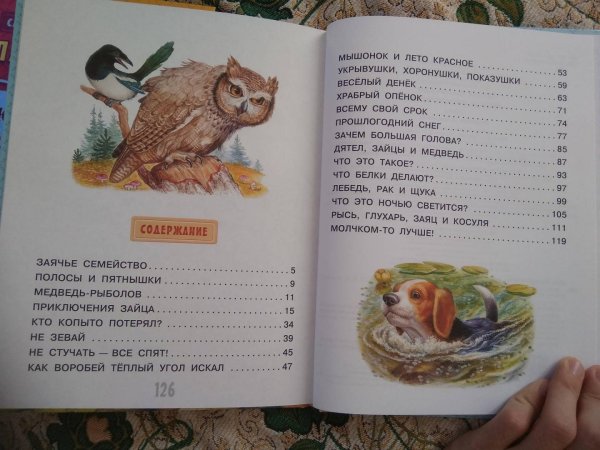 Э ШИМ Храбрый опенок