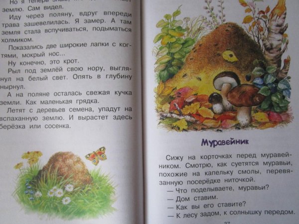 ШИМ Эдуард Юрьевич рассказы о природе