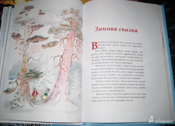 Топелиус зимняя сказка книга