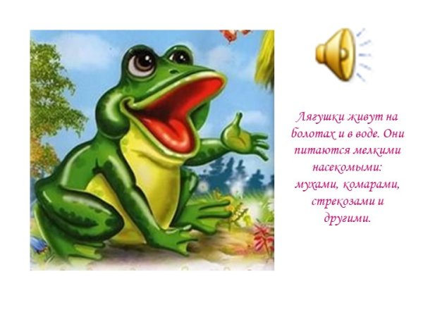 Лягушка Теремок для детей