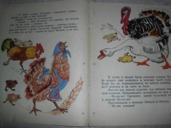 Книга пшеничный колосок