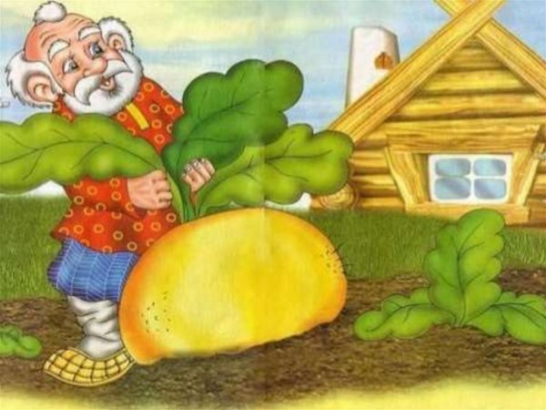 Репка иллюстрации Антипова