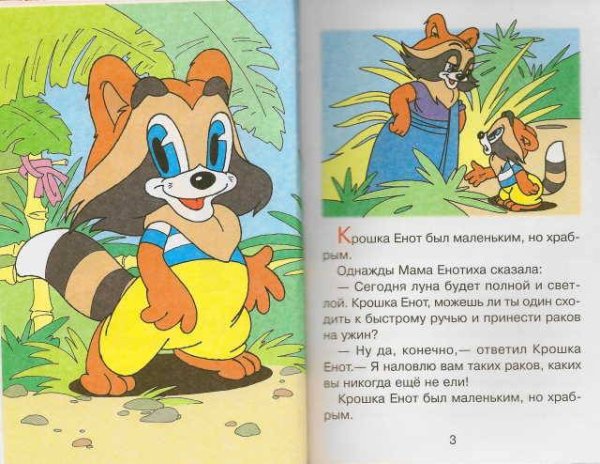 Муур крошка енот