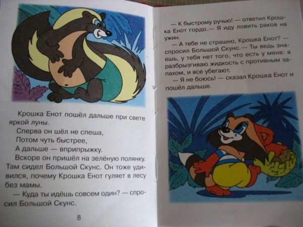Сказка про енота и отражение