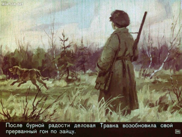 Кладовая солнца диафильм