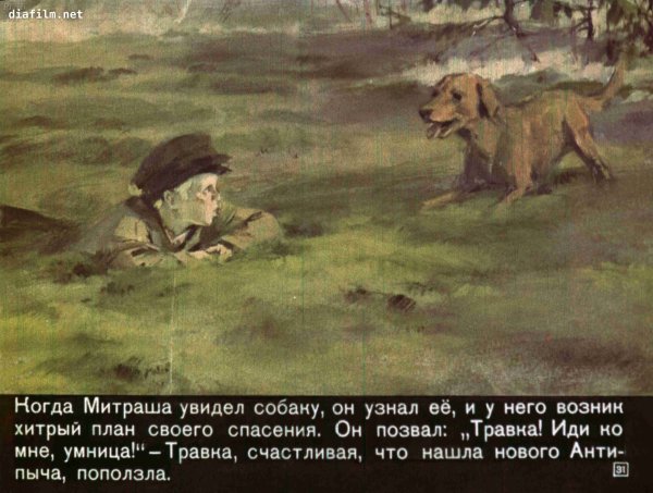 Кладовая солнца травка спасает Митрашу