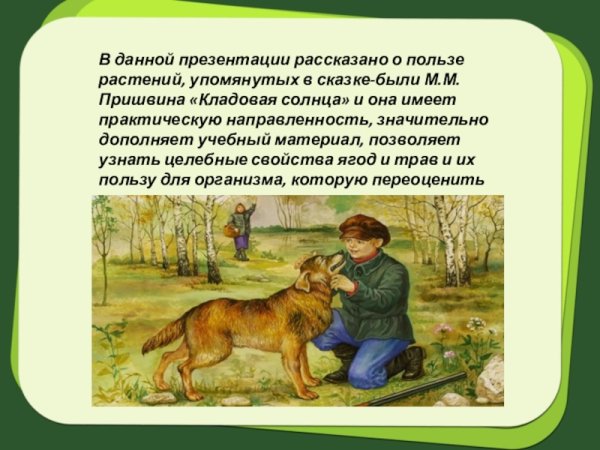 Рассказ кладовая солнца