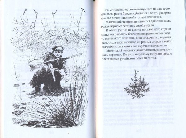 Иллюстрации к книге кладовая солнца пришвин