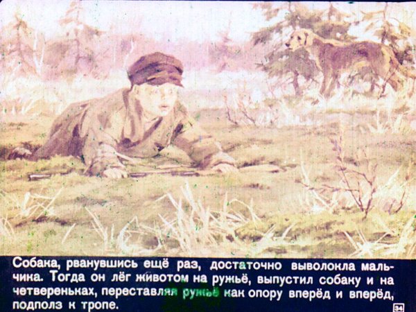 Собака Пришвина кладовое солнце