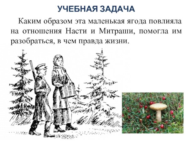 Кладовая солнца рисунок