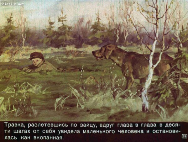 Пришвин м. м. "кладовая солнца"