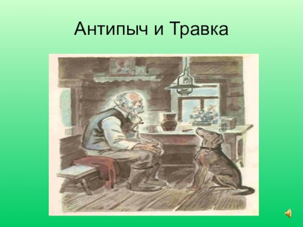 Пришвин кладовая солнца АНТИПЫЧ