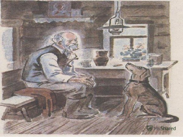 АНТИПЫЧ кладовая солнца