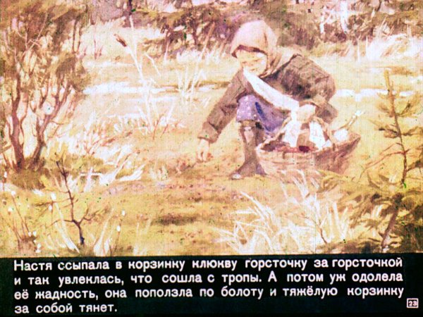 Кладовая солнца пришвин диафильм