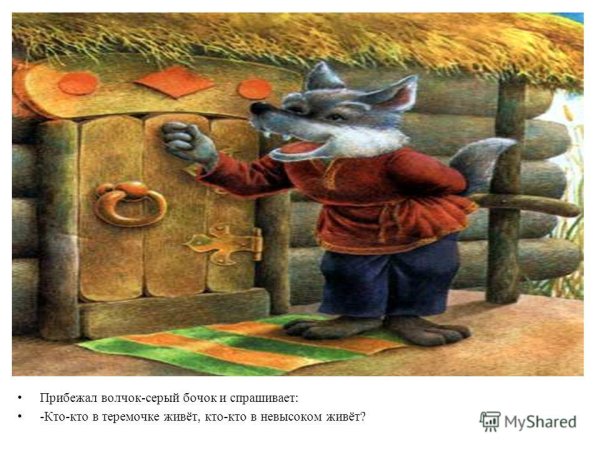 Волк серый бочок