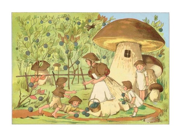 Эльза Бесков грибы
