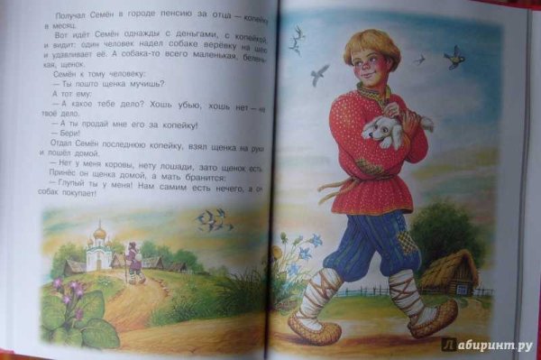 Волшебное кольцо сказка Платонова