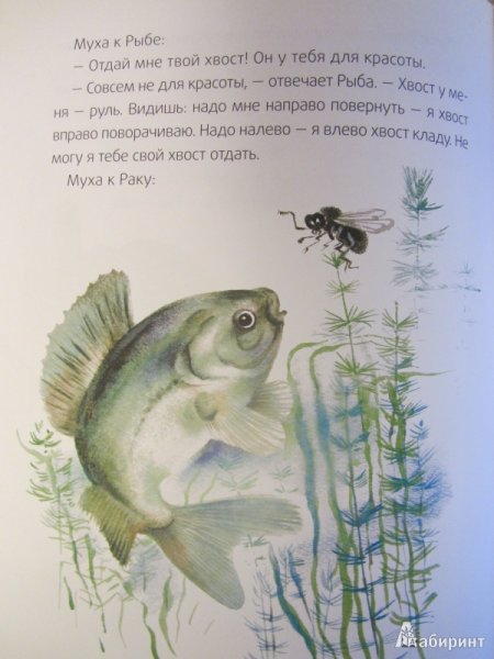 Книга в. Бианки — хвосты картинка