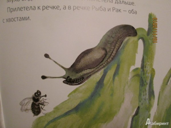 Рассказ хвосты Виталий Бианки