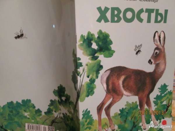 Виталий Бианки сказка хвосты