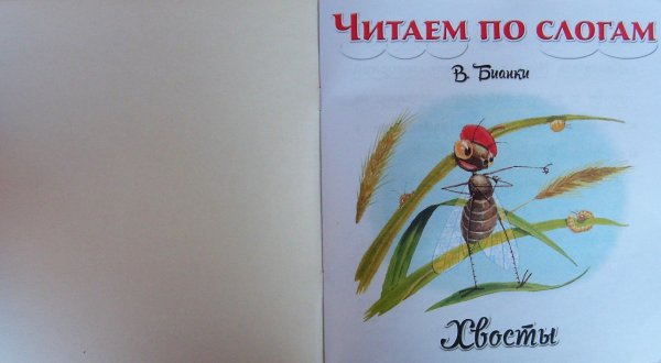 Бианки хвосты обложка книги