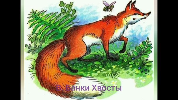 Бианки в. "хвосты"
