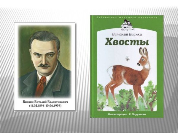 Рассказ хвосты Виталий Бианки