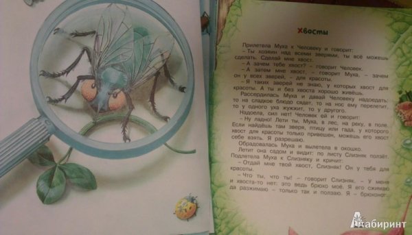 Рассказ хвосты