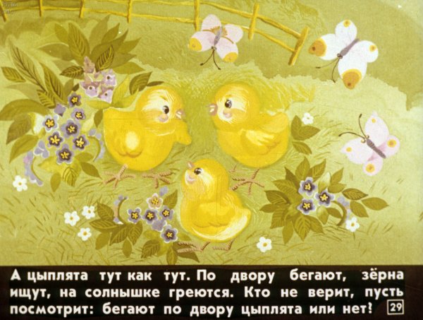 У солнышка в гостях