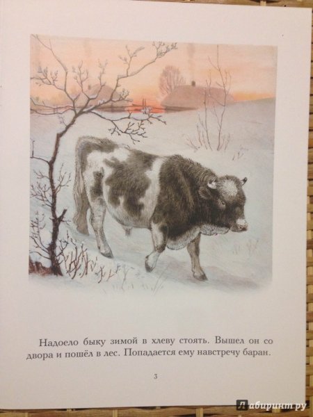 Книга зимовье зверей иллюстрации