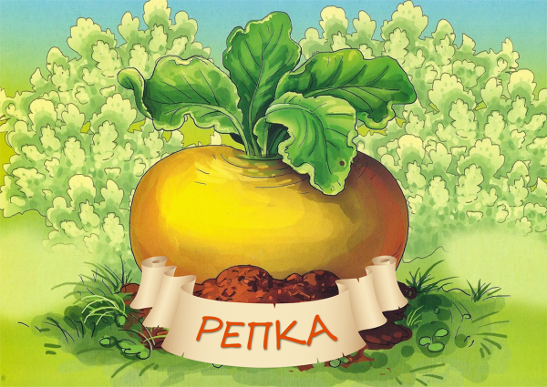 Репка рисунок для детей