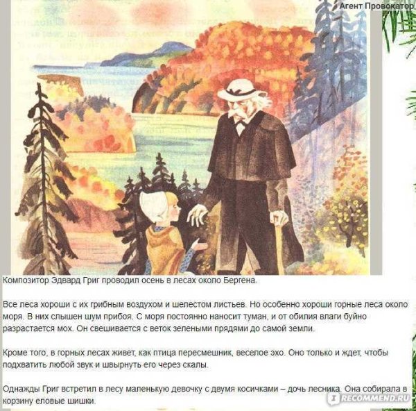 Григ корзина с еловыми шишками
