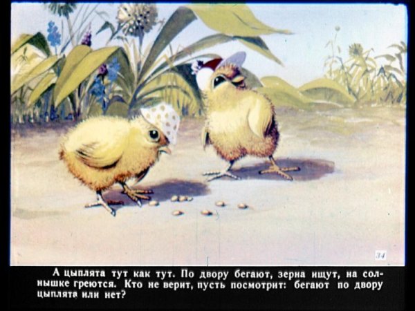 Цыплята из сказки у солнышка в гостях