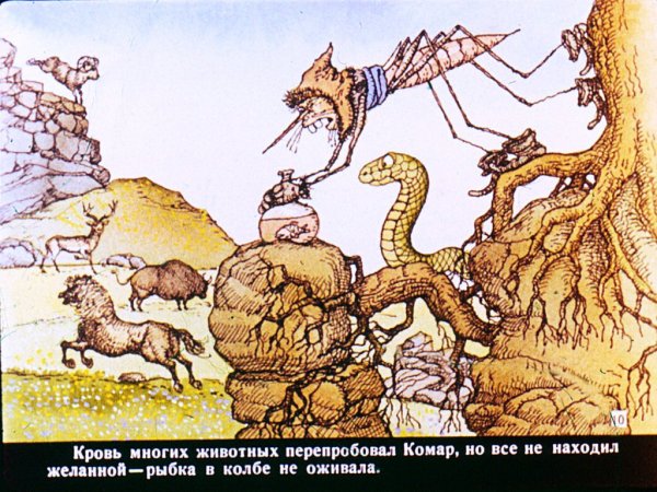 Почему у ласточки хвостик рожками мультфильм 1967