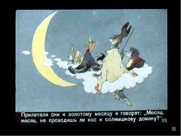 У солнышка в гостях презентация