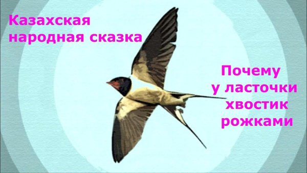У ласточек хвост вилочкой