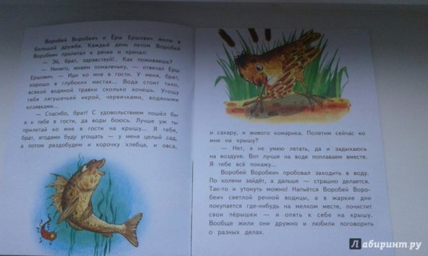 Книга про ерша Ершовича и воробья Воробеича